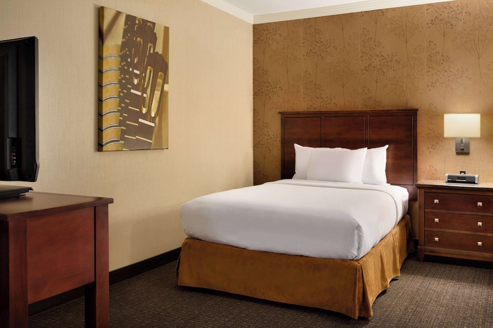 Embassy Suites by Hilton Austin Downtown South Congress - photo 46