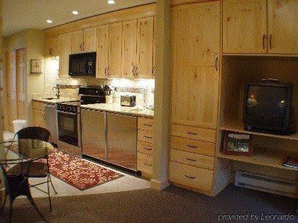 Telluride Alpine Lodging - photo 4