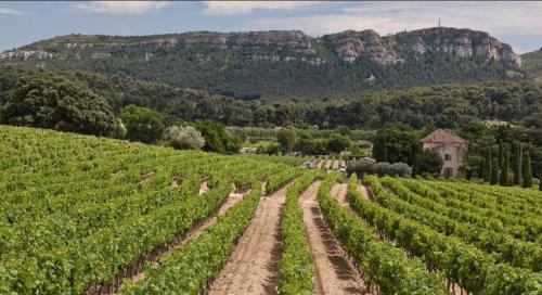 Mistral Gagnant in Cassis, France