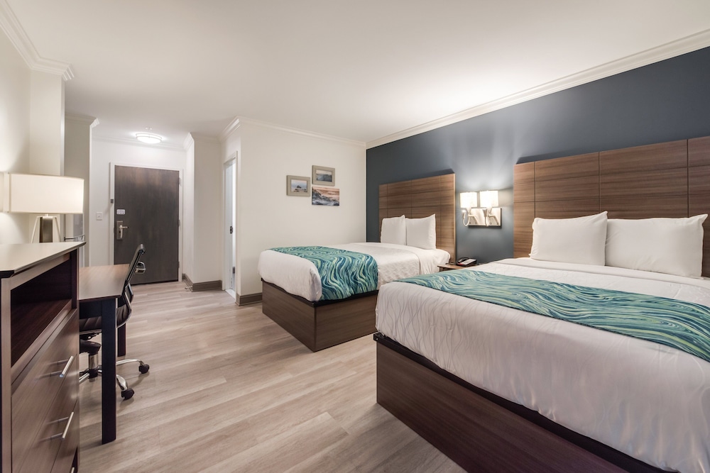 Le Voyageur Motel - photo 6