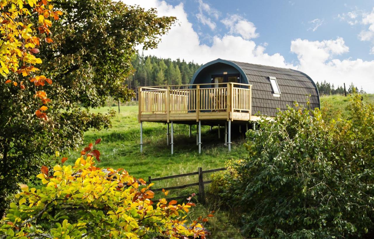 Spectacular Mountain View Ecopod — hotel in Newtonmore