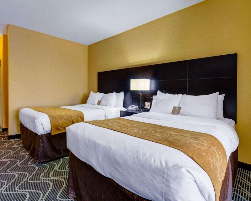 Comfort Suites Lake Ray Hubbard - photo 7