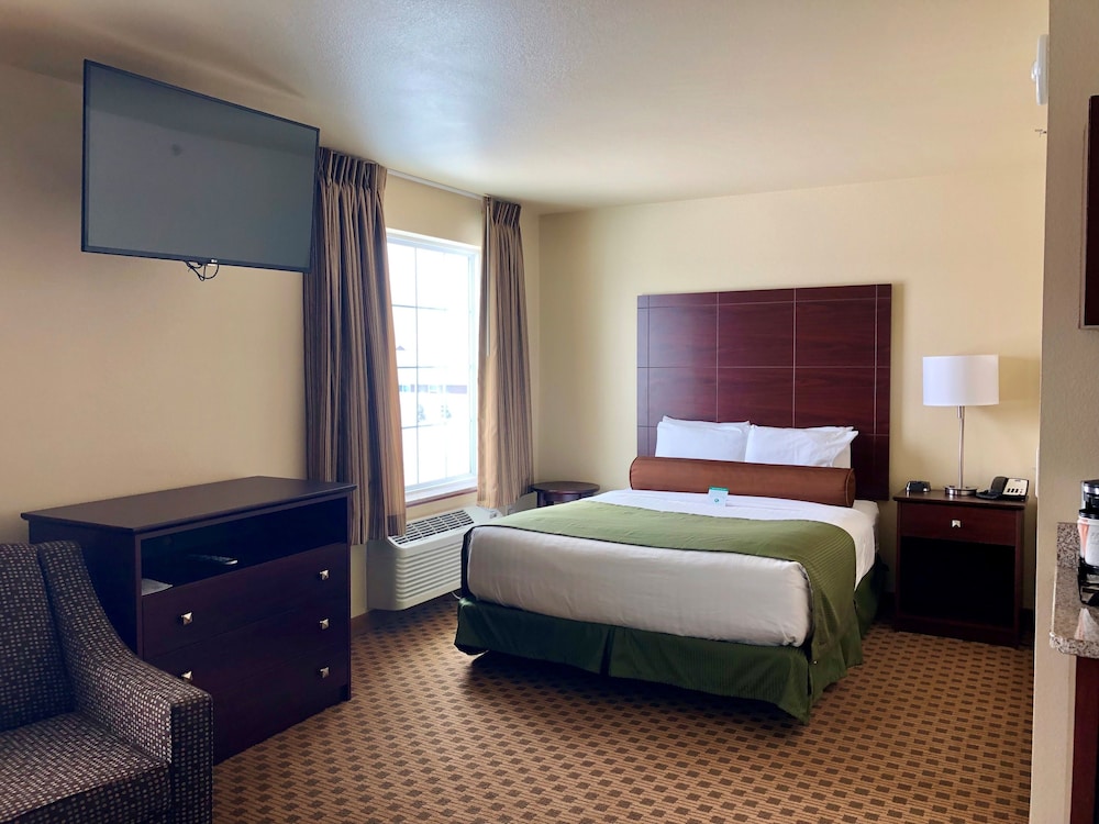 Cobblestone Hotel & Suites Pulaski Green Bay - photo 8
