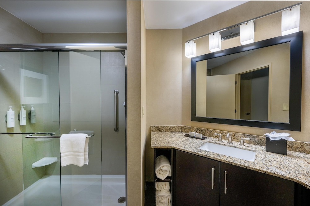 Hampton Inn by Hilton St. Louis Airport - photo 61