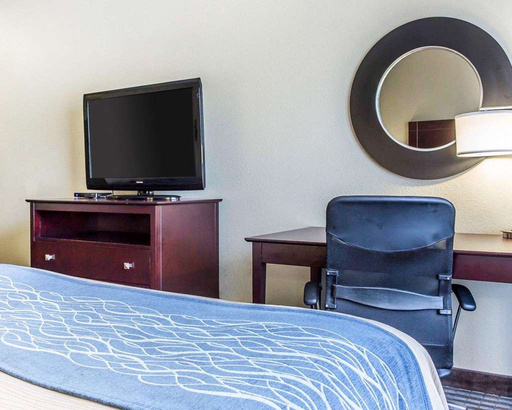 Comfort Inn & Suites Ballpark Area - photo 8