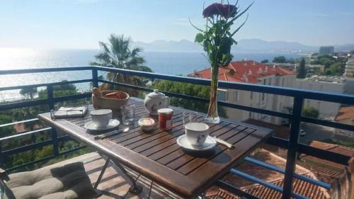 Cannes Plage - carbon neutral hotel in Cannes