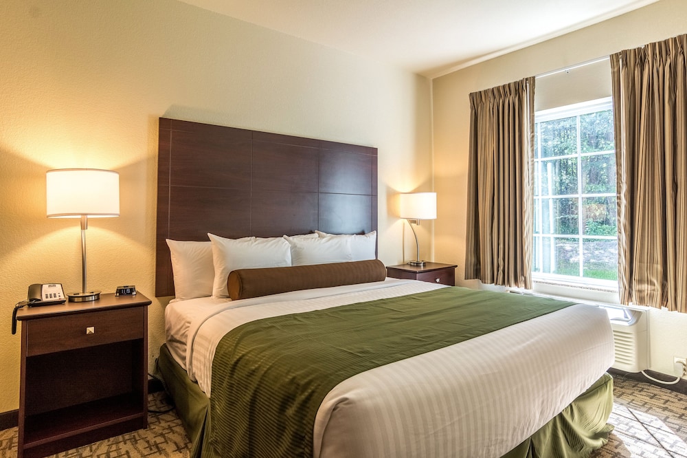 Cobblestone Hotel & Suites Greenville - photo 13