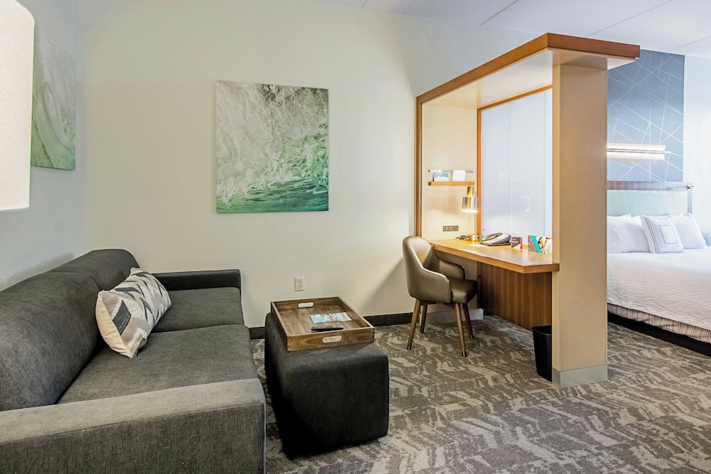 SpringHill Suites by Marriott Tampa North I 75 Tampa Palms - photo 9