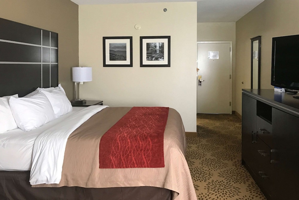 Comfort Inn North of Asheville - photo 19