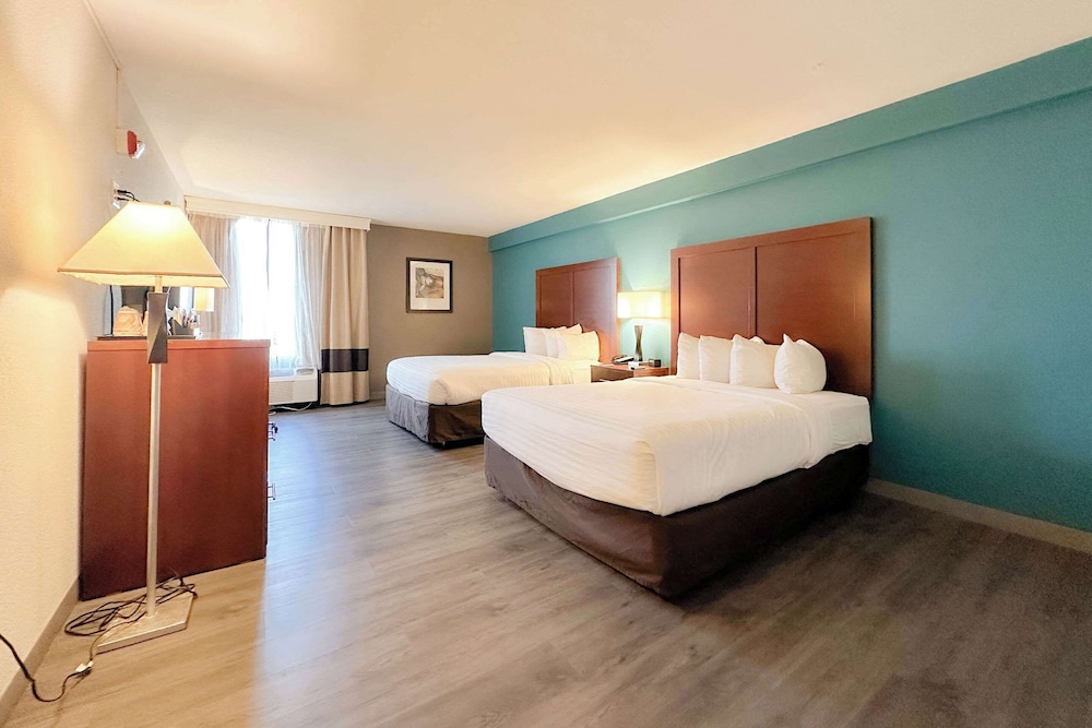 The Adventure Hotel by the parks - photo 15