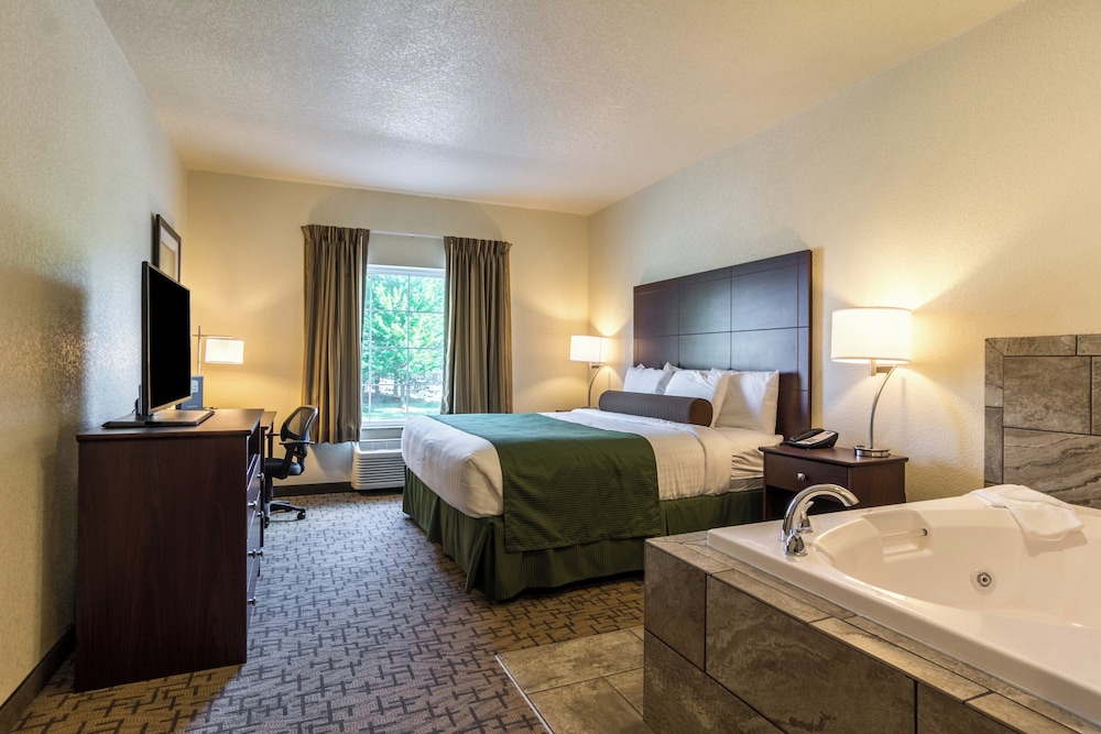 Cobblestone Hotel & Suites Erie - photo 11