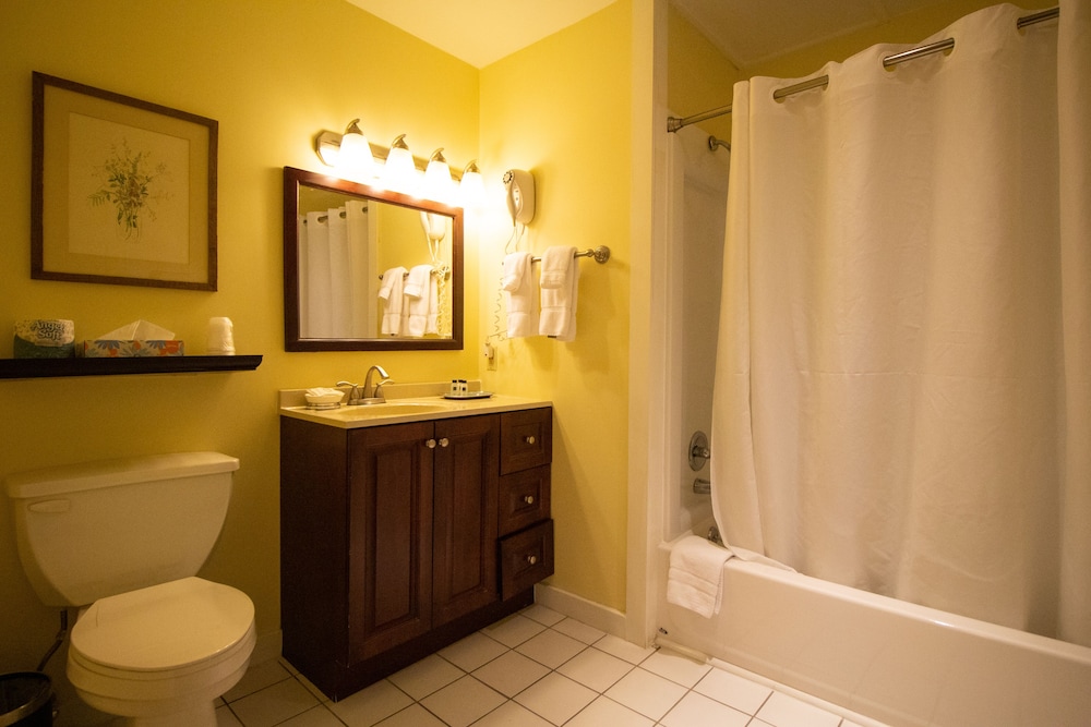 Delamater Inn - photo 86