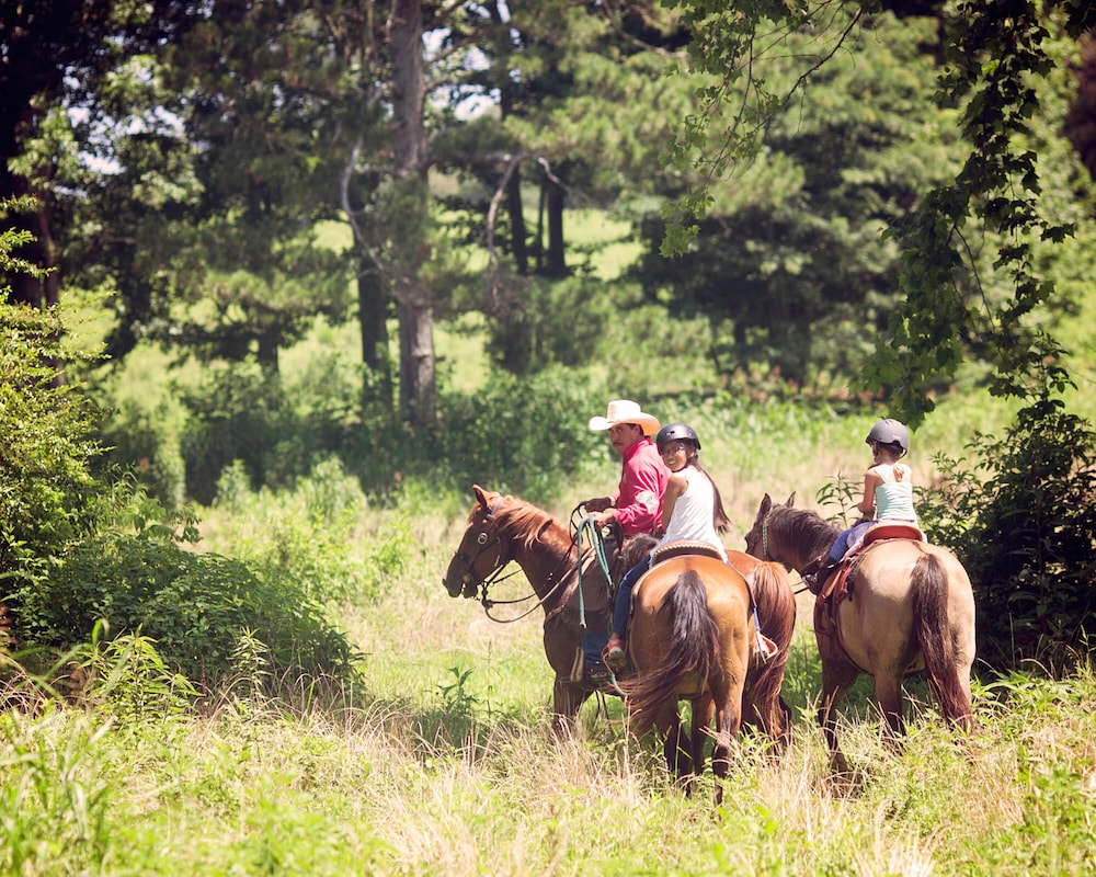 Seventy four Ranch - photo 20