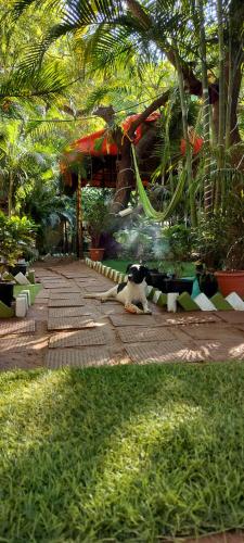 Nature of Arambol in Arambol, India