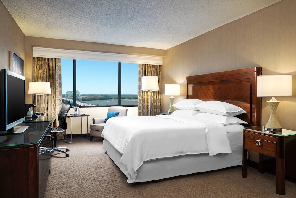 Memphis Riverline Hotel - photo 9