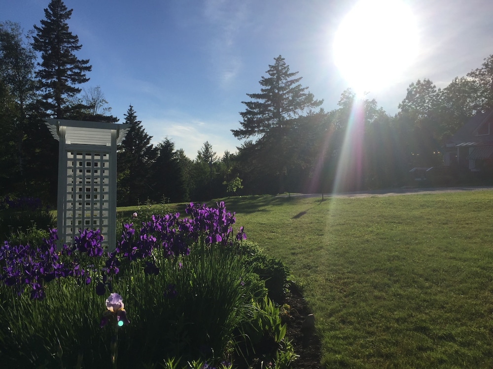 The Vermont Inn - photo 93