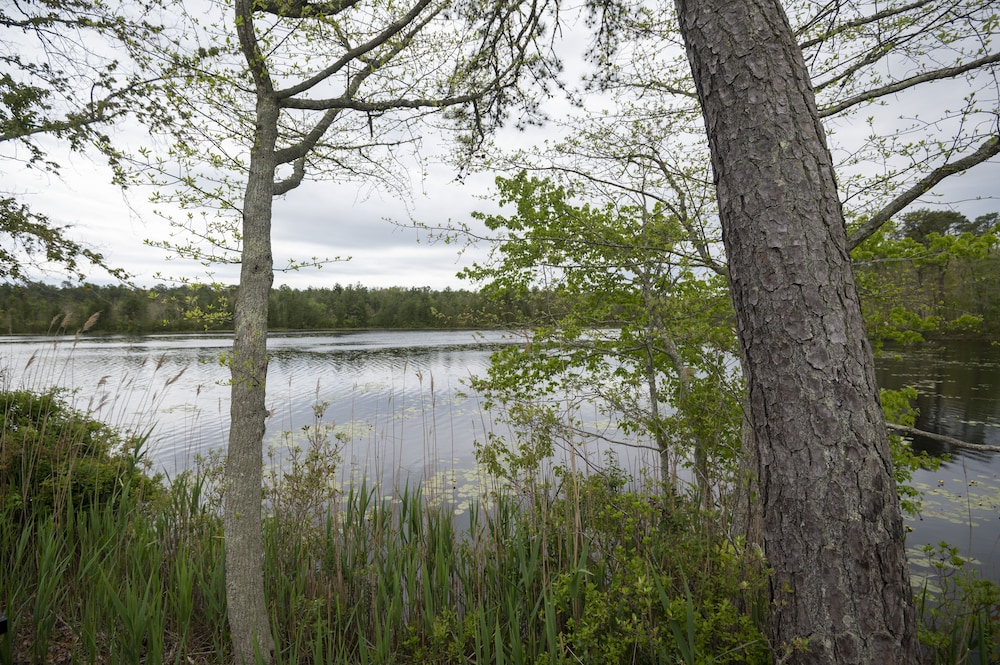 Swan Lake Resort Rentals - photo 218