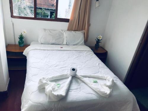 Hotel Kuelap — Chachapoyas — photo 5