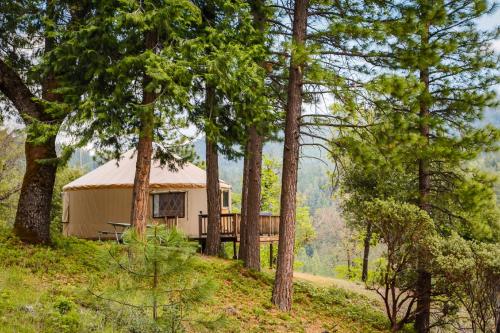 Yosemite Lakes Yurts - photo 10