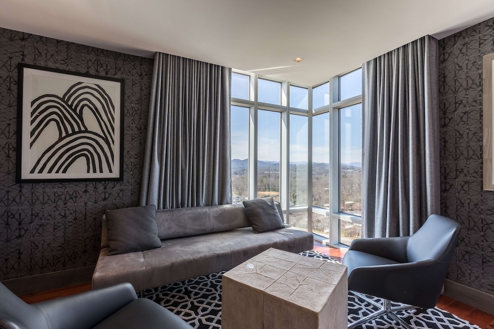 DoubleTree by Hilton Asheville Downtown - photo 39