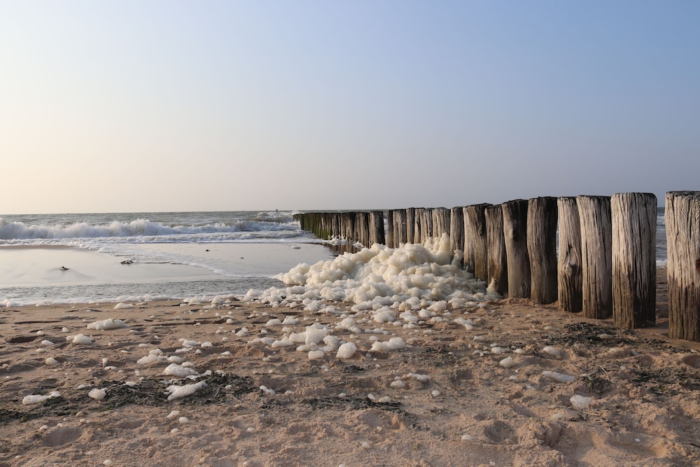 De Natte Pij in The Hague, Netherlands