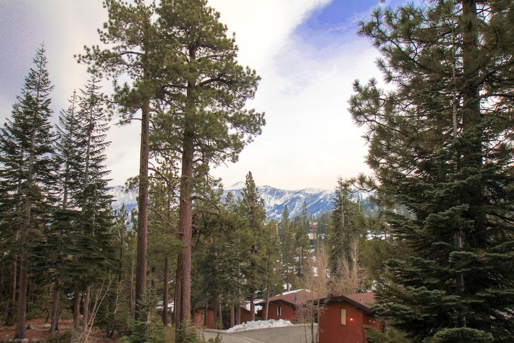 Mammoth Ski & Racquet Club - photo 69
