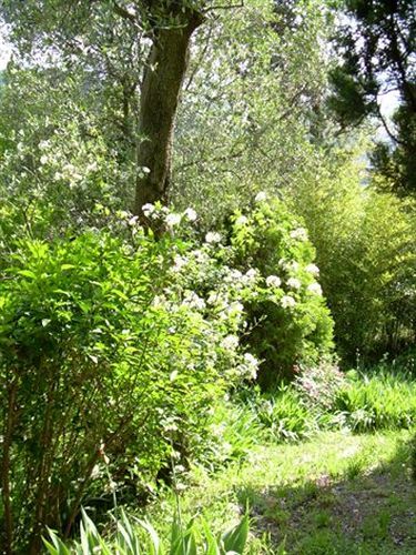 In Centro Mutino — Massarosa