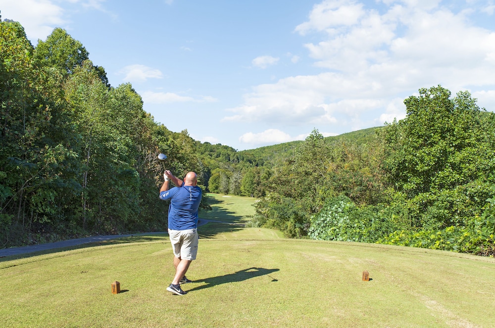 Pine Mountain State Resort Park - photo 39