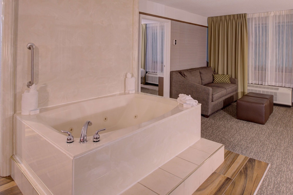 Hilton Garden Inn Detroit Southfield MI - photo 36