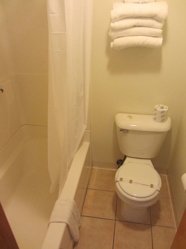 Green Dolphin Motel - photo 53
