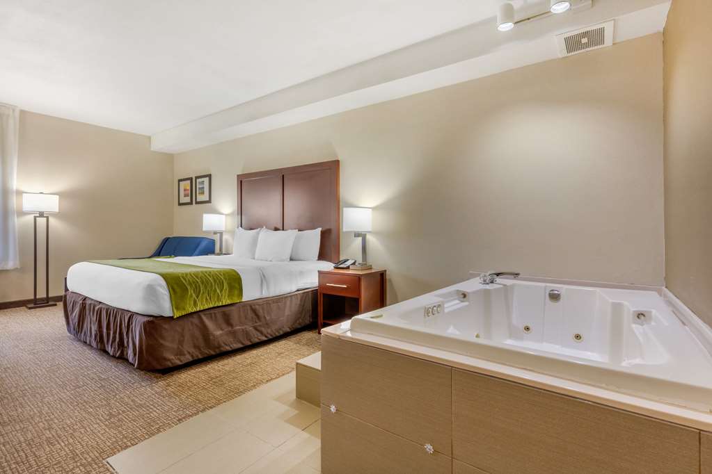 Comfort Inn Lenoir City Knoxville - photo 21