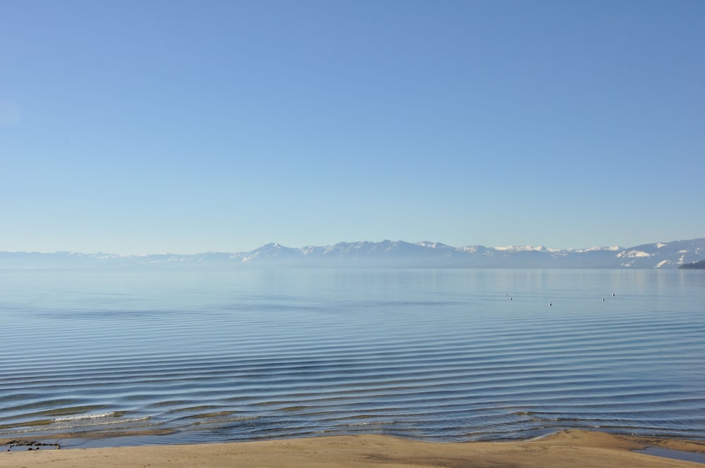 Mourelatos Lakeshore Resort - photo 41