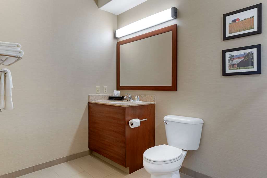 Comfort Suites Marysville Yuba City - photo 22