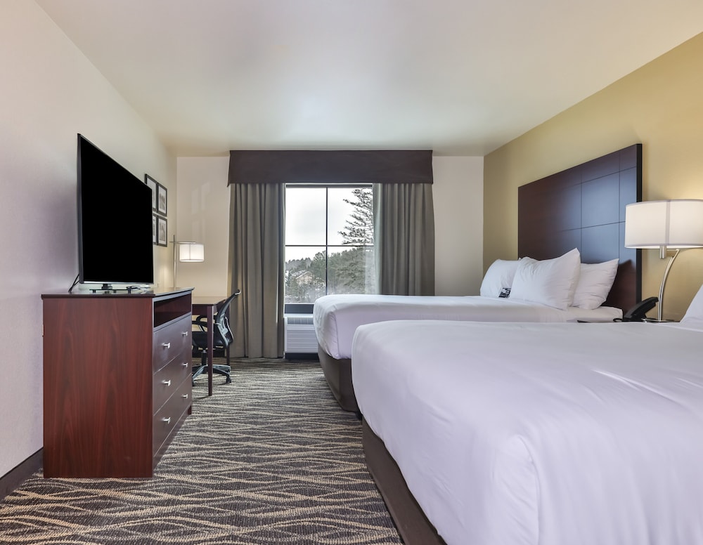 Cobblestone Hotel & Suites Rhinelander - photo 8