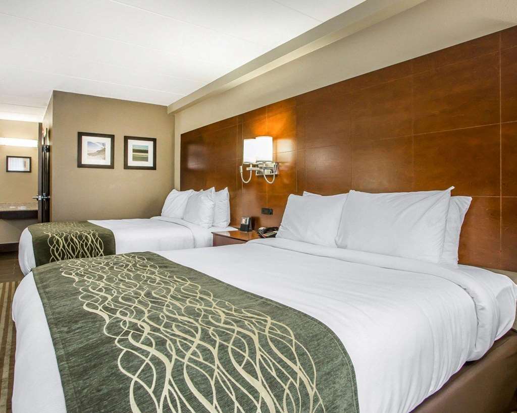 Comfort Inn Hammond I 94 - photo 17