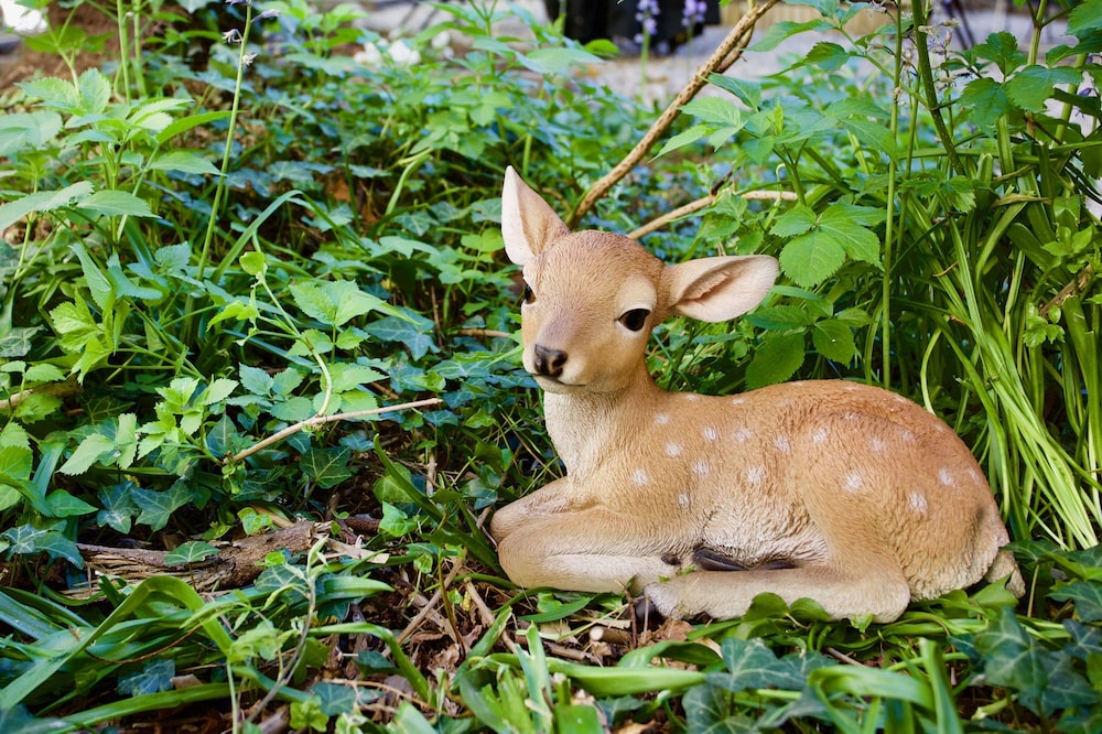 Ostello Bello Lake Como in Como, Italy