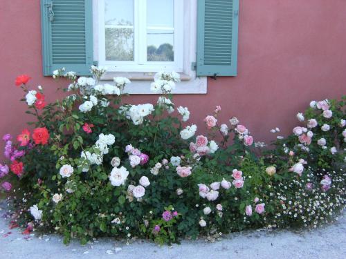 Lou Pero Mousco — Saint-Paul-En-Foret — photo 3