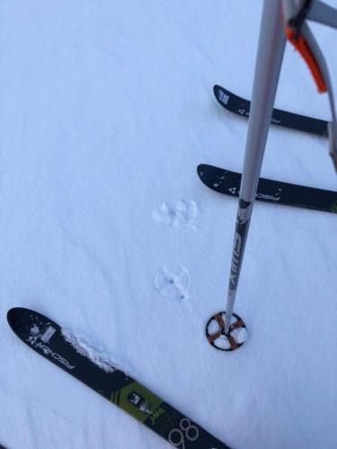 Bestefarhuset in Alta, Norway