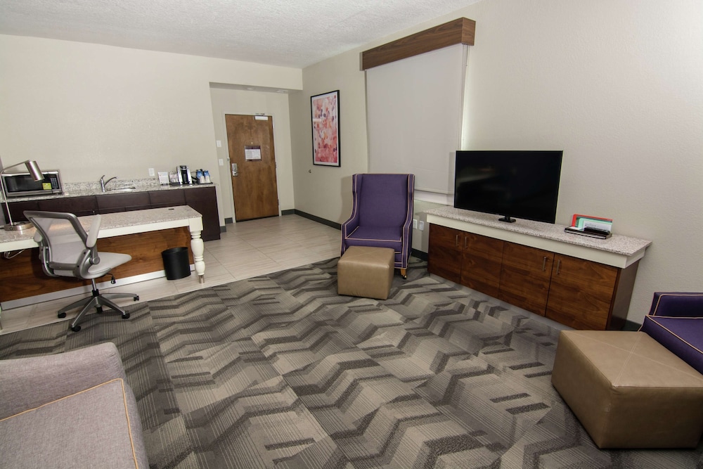 Hilton Garden Inn Tampa Suncoast Parkway - photo 15