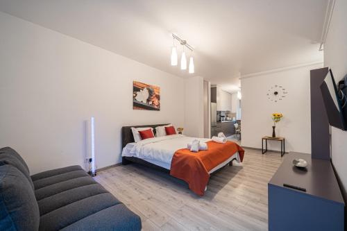 Old town luxury in new building. — 4-Star Luxury Hotel in Cluj-Napoca, Romania