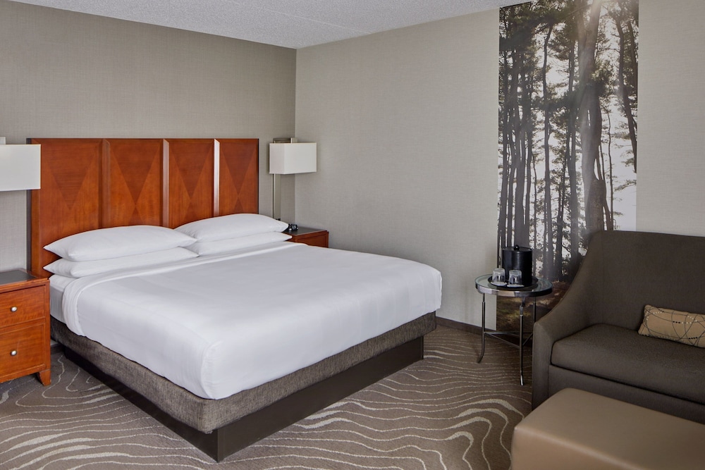 Detroit Metro Airport Marriott - photo 16