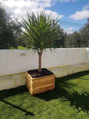 Casas da Olaria — 4-Star Luxury Hotel in Reguengos De Monsaraz, Portugal