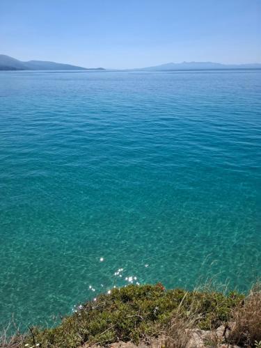 Qeparo Antonio Rooms in Unknown City, Albania