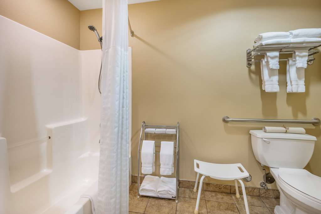 Best Western Lodge At River's Edge - photo 43