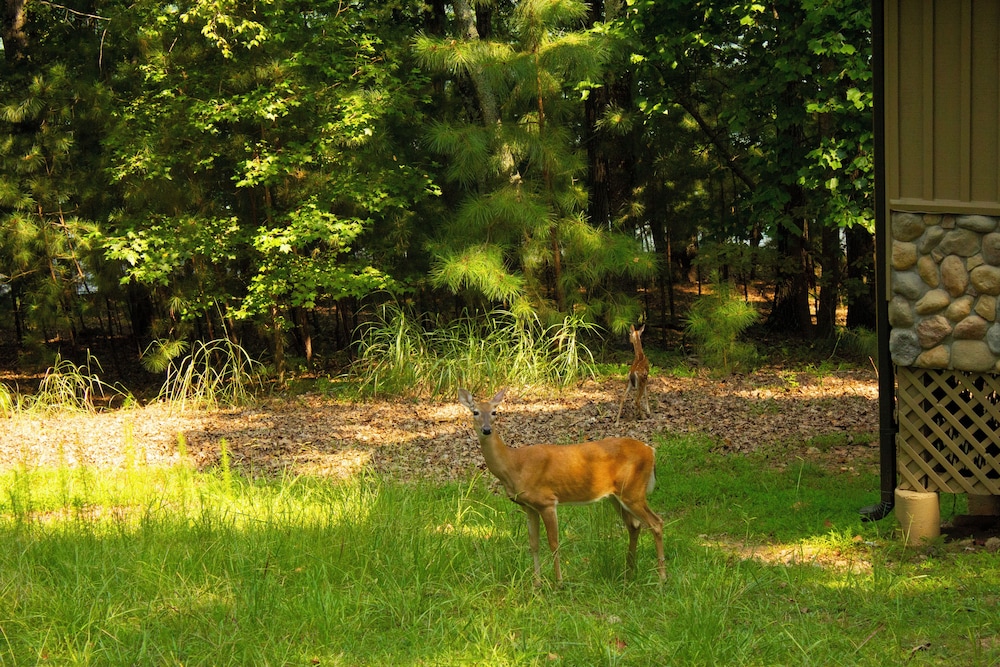 Lanier Islands Legacy Lodge - photo 85