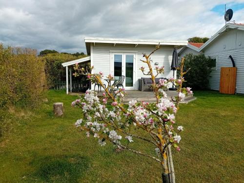 Strandläge - carbon neutral hotel in Unknown City