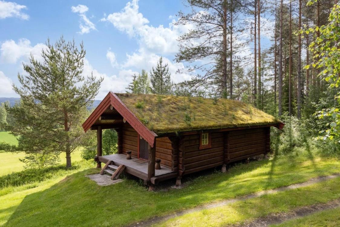 Skogcamping — Elverum