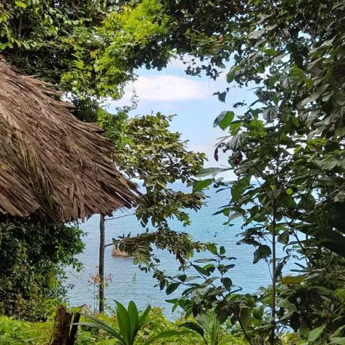 Reserva Natural Selva Mojada — Nuqui