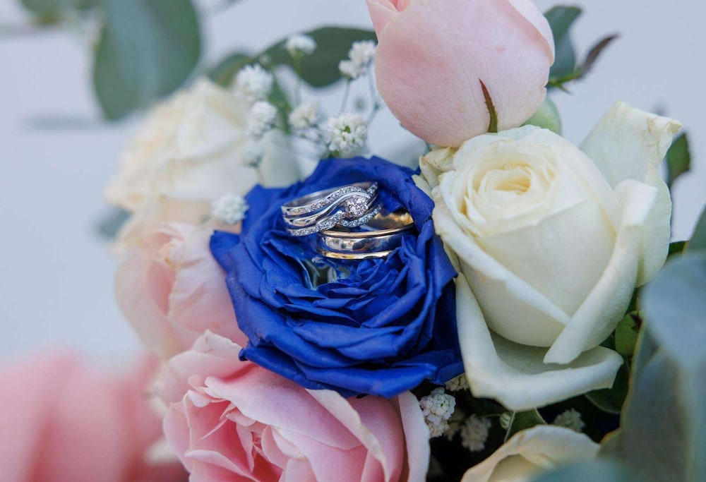 כנסים ואירועים