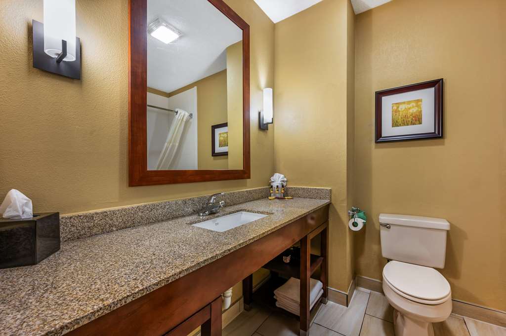 Best Western Plus Georgetown Corporate Center Hotel - photo 23